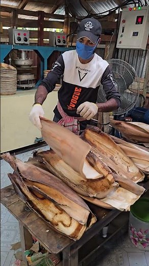 Traditional Plate Making Process Using Areca Nut Leaf #shorts