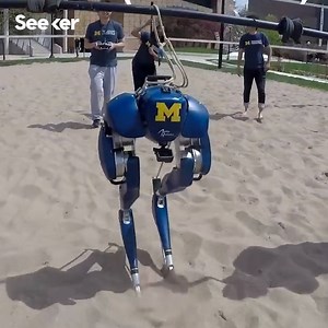 This is what robot vision looks like. | Seeker by The Verge