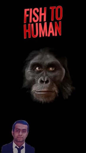 Charles Darwin’s Theory of Evolution Explained | Natural Selection & Survival of the Fittest