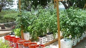 Rain Gutter Grow System Documentary Trailer