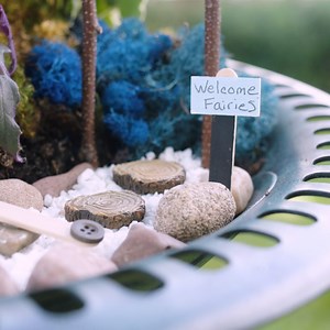 112K views · 171 reactions | This is an easy way to make a fairy garden and a great project for kids! We worked with our friends at Birds & Blooms Magazine for this DIY. | Let Grow | Facebook