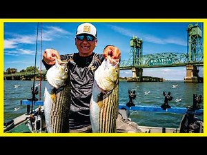 How To Catch Live Bait & How To Drift for Striper in the California Delta