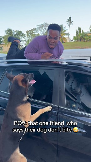 Beware of Friendly Dogs! Can You Trust Them? 😂🐕 #trini_tiktoks