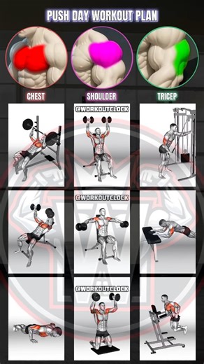 Workout on Instagram: "This Push Day Workout targets Chest, Shoulders, and Triceps using 9 effective exercises. Perfect for muscle growth, strength, and upper body definition. 🏋️‍♂️ WORKOUT METHOD Exercises: 9 Sets: 3 sets per exercise Reps: 8–12 (hypertrophy) Rest: 45–75 seconds Workout time: ~45–60 minutes 🔹 CHEST (Chest muscles) 1. Incline Barbell Bench Press – Builds upper chest strength 2. Dumbbell Bench Press – Overall chest mass 3. Push Ups – Chest endurance & core stability 🔹 SHOULDER