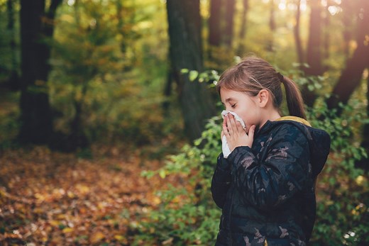 Hay Fever (Rhinitis) | Symptoms & Treatment | ACAAI Public Website