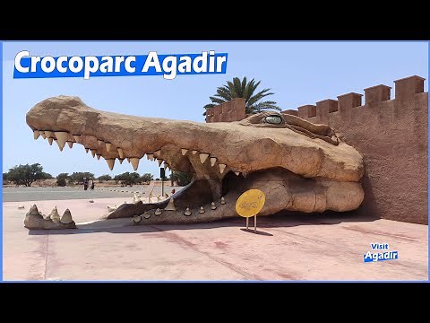 Crocoparc Agadir Morocco - Nile crocodile- Crocodile du Nil