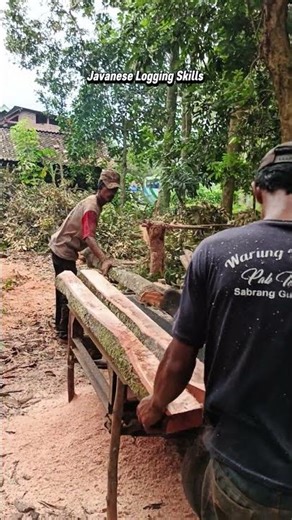 ASMR | Non-Stop Action! Splitting Giant Durian Logs with Mobile Sawmill (Srekel) 🔋🪚🌳#asmr #shorts