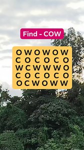 #riddle #brainteaser #riddles #quizgame #puzzle | Puzzle Box