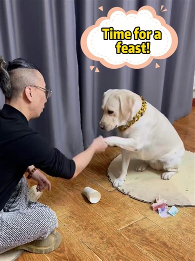 Fun Dog Guessing Game for Pet Parents