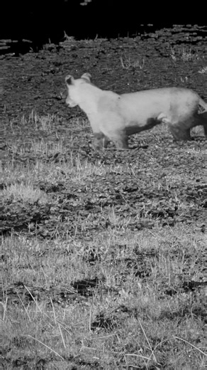 Great Plains Conservation on Reels