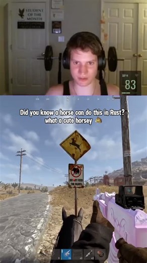 Vincent🧟‍♂️🩶 on Instagram: "Did you know horses can do this in Rust? 🐴 🤎 #rust #rusthorse #horsegang #rustclan #rustfarming"