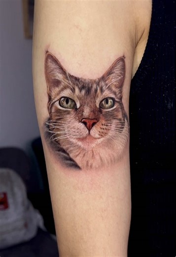 Tattoo de Gatita en Micro Realismo a Color