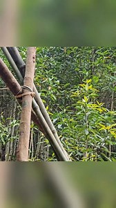 0306.mp4 Part 22 | Cải Tạo Nhà Cửa