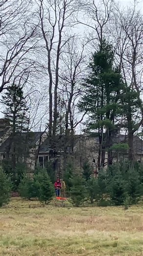 Luke Huston (@luke_butnot)’s videos with It's Beginning to Look a Lot like Christmas - Michael Bublé