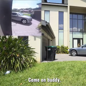 What would my dog do if I FAINTED in front of him? 🐶 | TmarTn