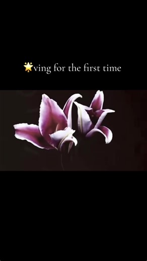 Discovering Euphoria: A Motivational Journey