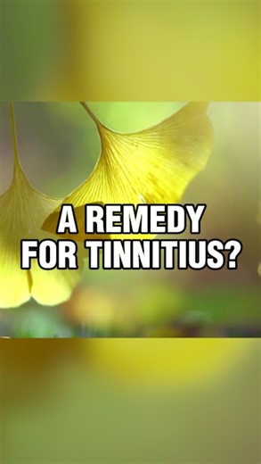 Timpanogos Hearing & Tinnitus on Instagram: "While searching for Tinnitus relief, this supplement might come up on your radar: Ginko Biloba 🌱 Dr. Garrett explains the details on this supposed remedy, and how studies have proven whether or not it’s legit. Check it out! 👆 You can also find this video and others like it on our YouTube channel 🎥 #Tinnitus #Supplements #HearingLoss"