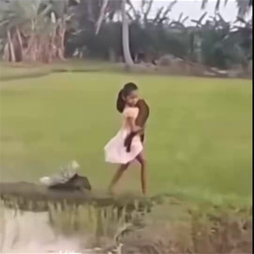 🚨Real-life Disney princess behaviour.This girl has gone viral for walking around with a civet in her arms while a porcupine trots beside her like a loyal dog.