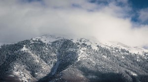 5.5K views · 55 reactions | Transport your Zoom conversations to your favorite public lands when you download any of our free photographs or seamless video loops. Find them all here: wilderness.org/virtualbackgrounds | The Wilderness Society | Facebook