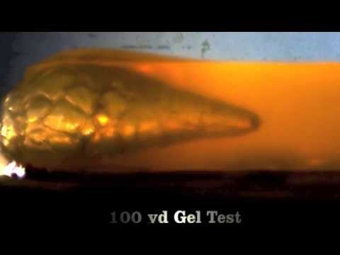 Remington AccuTip Sabot Slug in gel