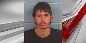 2 charged after social media video shows missing dog used for target practice