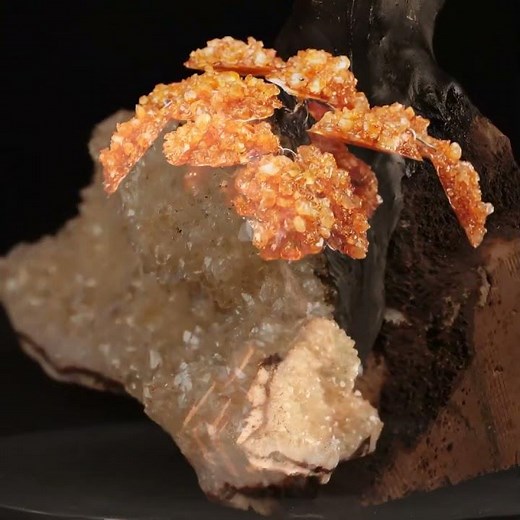 🍊 A tree of abundance, crafted in crystal 🍊