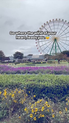 39 reactions · 24 comments | life is beautifuljust follow your own wind #inspirational #life | Sheryl Shinohara | Facebook
