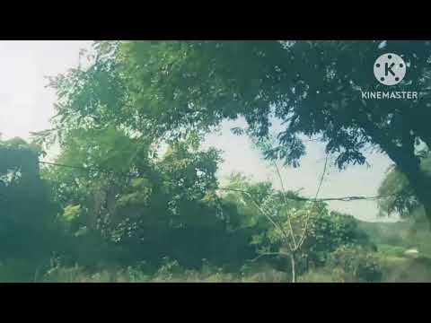 Daily vlog | my first vlog | vlog video