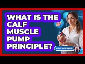 What Is The Calf Muscle Pump Principle?