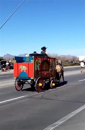 The Tucson Rodeo Parade Circus 🎪 Wagons are New for This Year's Parade 101 Annual