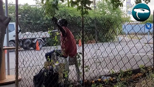 3K views · 32 reactions | Te ahinda niun solushon pa hòmber ku ta kana rònt sin kaminda pa keda,i mester yudansa profeshonal.Tur instansia ku por yuda ta na altura pero nada pa loke ta yudansa. | TeleCuraçao MultiMedia | Facebook