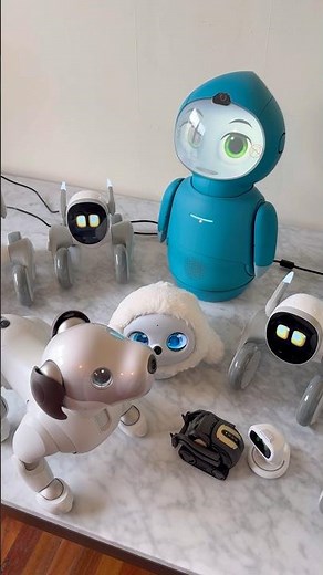 My Robot Collection😅