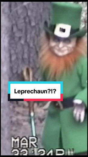 Encountering a Leprechaun in Your Backyard