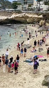 88K views · 124 reactions | Upset seal chases people on a beach | Science, Tech and Universe | Facebook