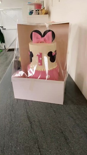 Creative Cake Decorating: 2 Tier Cake Boxing Tutorial