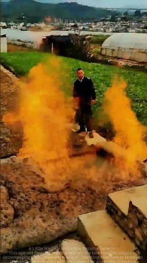 Pig manure cleaning technology sharing in rural biogas digesters