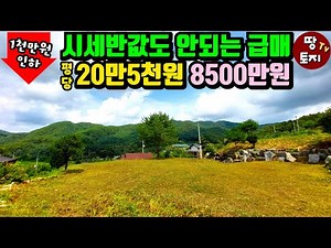 [광고]시세대비 반값도 안된다! 평당20만5천원 미친가격 땅 토목공사된 1억이하 홍천 토지 급매물 싼 저렴한 세컨하우스 이동식주택 별장 주말주택 땅 소액 텃밭 전원주택 #홍천싼땅
