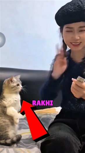 Cat Learns Sign Language For Owner 🐱🤟#actingchallenge #cat