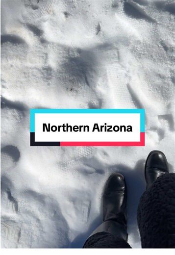 Happy Friday From Tuesday Travels . I Finally Made it up to northern Arizona this week and will definitely be back next week again because I need more snow and more snow lol ⛄️. But reporting from Payson Arizona I Have Found Snow #tuesdaytravels #whoistuesdayray #northarizona #ArizonaSnow #snowday