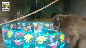 4K views · 122 reactions | It’s going to be paddling pool weather...