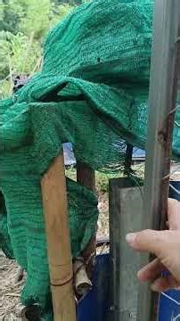 DIY Steel Gate Build | Making Our Frog Pen More Secure