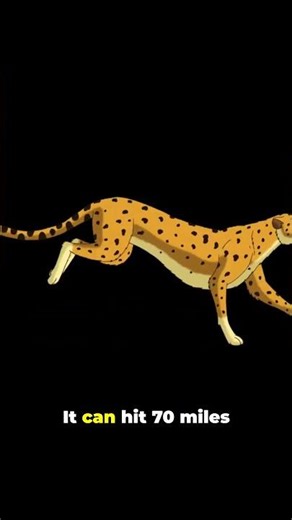 How Fast Is Fast? Let’s Break It Down 🏃‍♂️💨