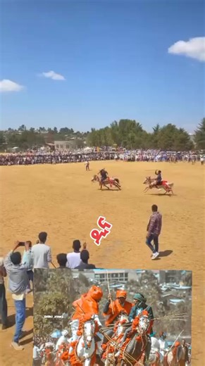 ወገኔ ዲና የተለያዩ ምስል እና አስተያየቶች