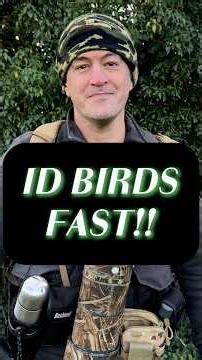 Use AI, Merlin, and Google Lens to identify birds quickly & easily.