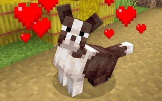 【SystemZee/生】I Added Your Actual Pets To Minecraft