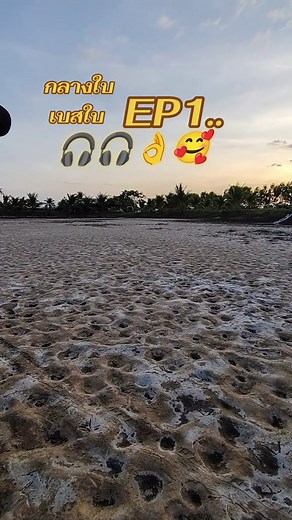 เครื่องเสียงรถยนต์: ทดสอบเสียงกลาง-เบสที่ดีที่สุด