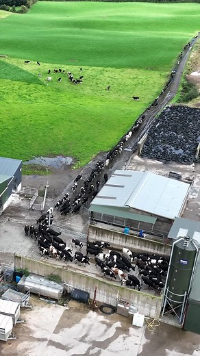 Milk Train and Dairy Farming: A Success Story