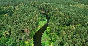 Wildlife in Poland. Small river and green forests. Aerial view of nature