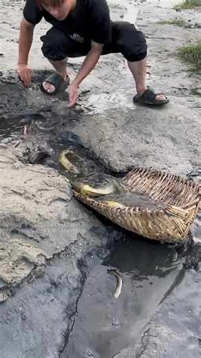 Primitive fishing skills still work like magic 🎣Nature + patience = perfect catch