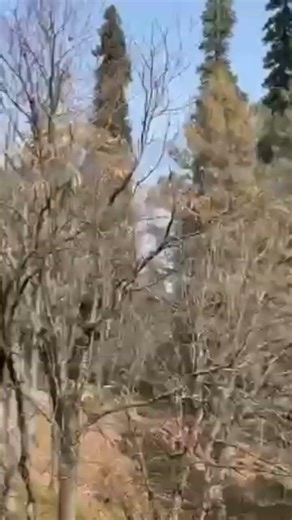 your Hard work 💪 your strength 💪 so keep it up ❣️ #strongarms #reelsviralyoutube